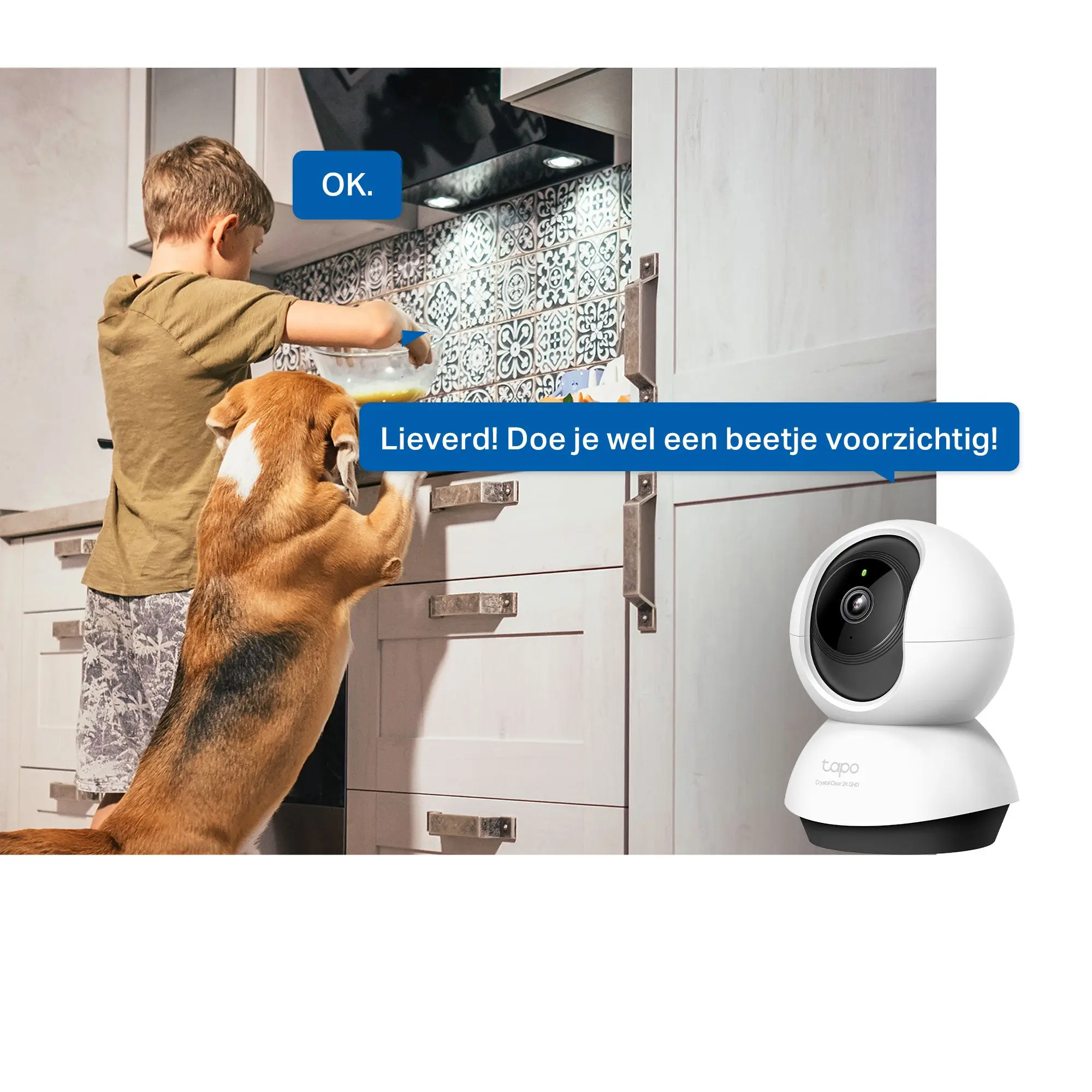 Tapo C220 (2-Pack) - Image 7